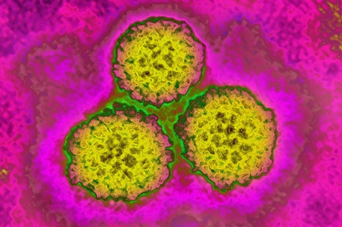 HPV چیست؟